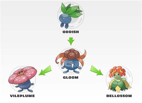 Pokémon GO Generation 2 Guide: Where to find Evolution Items and How to ...