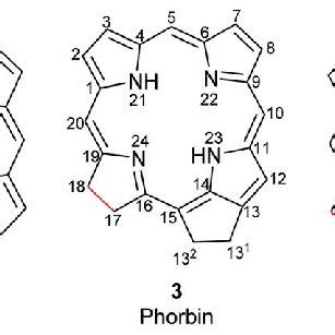 Basic structures of tetrapyrrole macrocycles from which the natural ...