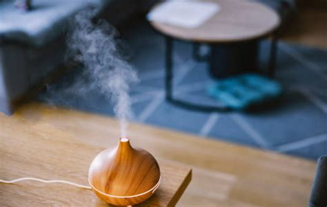 5 Benefits Of Having An Aroma Diffuser In Your Home – Lemondiffuser