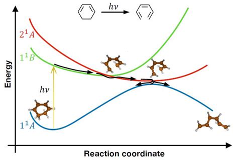 Photodissociation of cyclohexadiene with CASPT2 dynamics – Light and Molecules