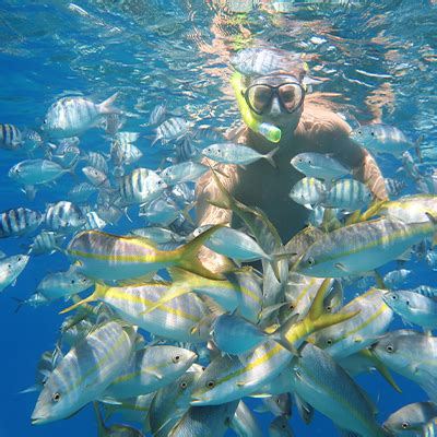 Puerto Plata Snorkeling Excursion | SeaPro Divers