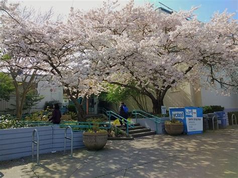 Green Lake Community Center | Seattle Parks and Recreation | Flickr