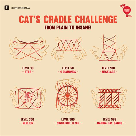 Cat's Cradle Infographic :: Behance