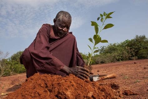 TerrAfrica as Part of the Solutions | Connect4Climate