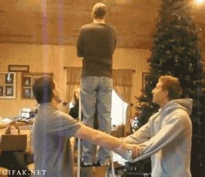 An Exercise in Trust - Reaction GIFs