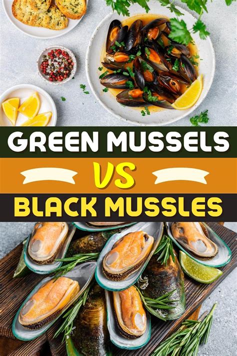 Green Mussels vs. Black Mussels (What’s the Difference?) - Insanely Good