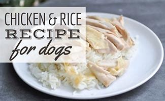 Chicken And Rice For Dogs: A Simple Homemade Recipe