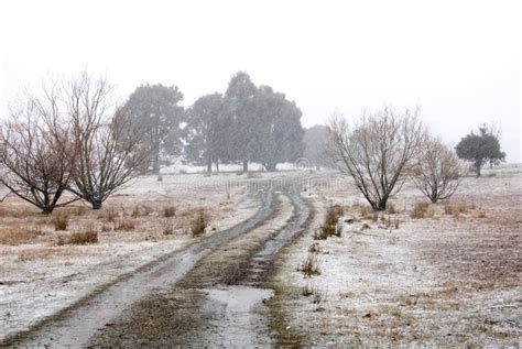 Winter Farm Scene Royalty Free Stock Photography - Image: 6031227