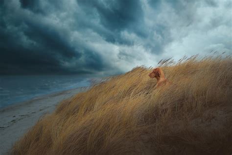 Stormy Sea | International Photo Awards