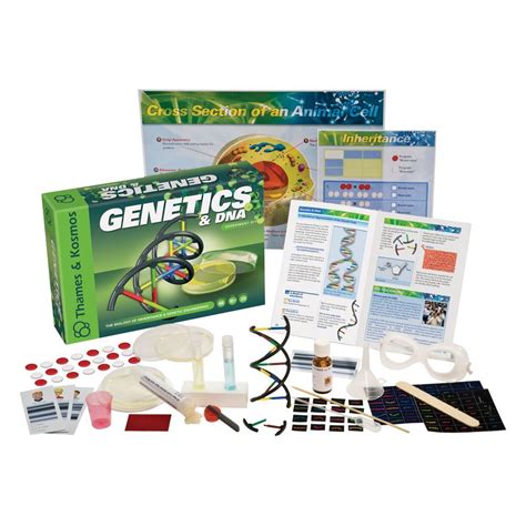 Genetics and DNA Kit | National Geographic Store | Science kits, Dna kit, Dna activities