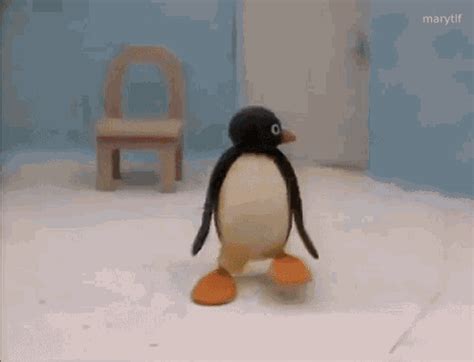 Dancing Pingu Gif Dancing Pingu Penguin Discover Shar - vrogue.co