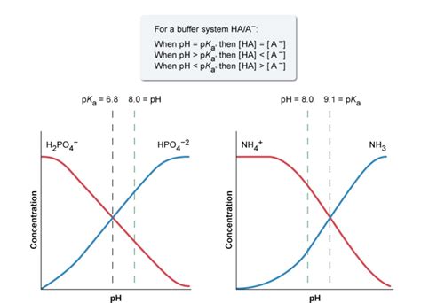 Is it just me or does the bottom right graph contradict the relationship between pH/pKa in a ...