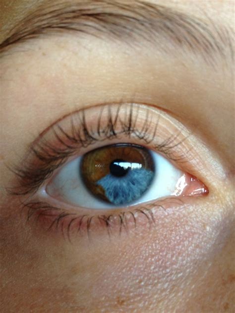 159 best Heterochromia eyes images on Pinterest | Blue eyes ...