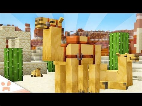 Camels in Minecraft 1.20 update: Where to find, drops, uses, and more