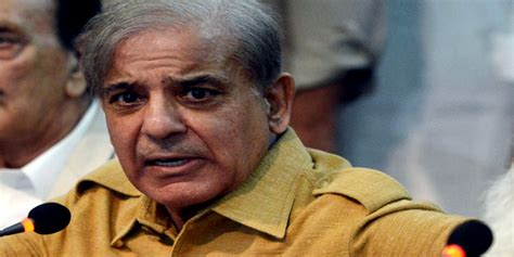 NAB reveals asset details of PML-N President Shehbaz Sharif