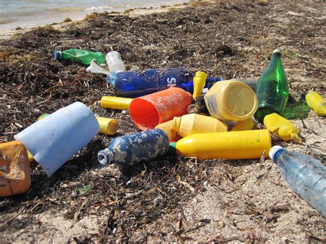 Plastics in the Ocean: How They Get There, Their Impacts, and Our Solutions | OR&R's Marine ...