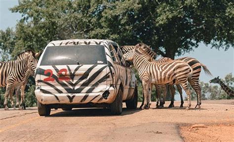 Safari Park | Safari Georgia | Drive Through Zoo