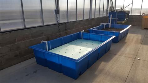 Pin on Aquaponic Grow Beds