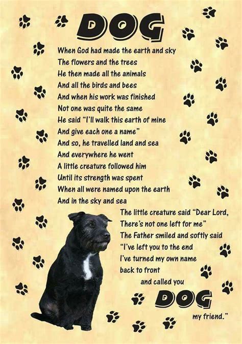 When God made the Earth ♡ | Pet poems, Dog quotes, Dogs