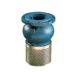 Cast Iron Foot Valve at Best Price in India