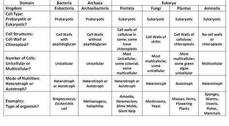 Analysis & Conclusion Questions - 6 Kingdoms of Life