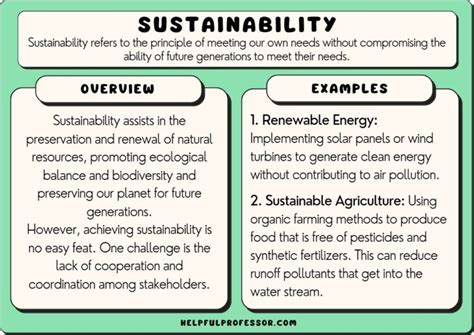 21 Sustainability Examples (2024)