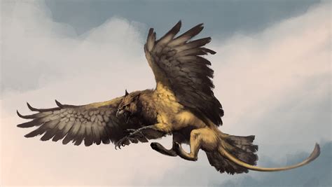 Griffin by Woari on DeviantArt