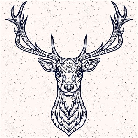 Deer With Antlers Drawing | Free download on ClipArtMag