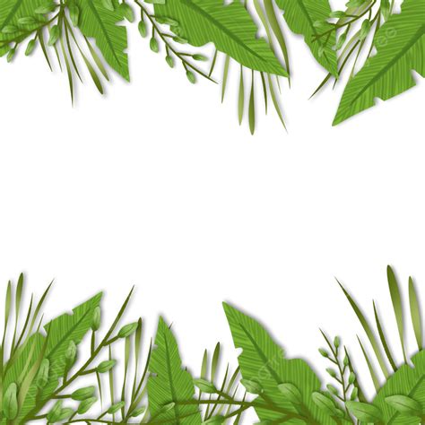 Tropical Leaves Frame PNG Image, Tropical Leaves Frame, Leaves, Photo, Green Clipart PNG Image ...