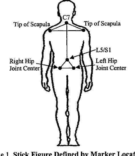 Figure 1 from Biomechanical Analysis of Postural Sway in Elderly Adults on Ramps | Semantic Scholar