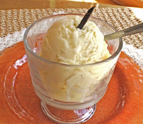 Love Vanilla Bean Gelato? Learn How to Make it At Home! – Homemade Italian Cooking