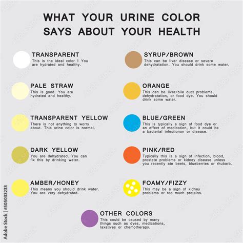 What Your Urine Color Says About Your Health ? Urine color Chart ...