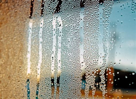 Why is there condensation on my windows? Here's why condensation is on ...