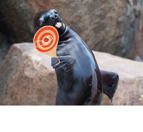 This seal • /r/photoshopbattles in 2021 | Sea lion, Old photos, Seal