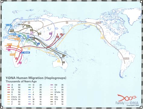 Haplogroup Migration Map - Phillips DNA Project