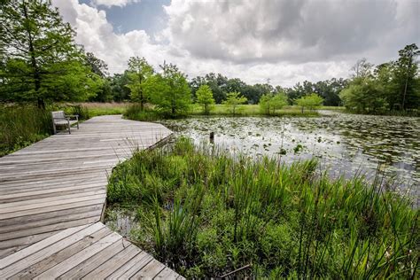 Houston Arboretum & Nature Center - All You Need to Know BEFORE You Go (2024)