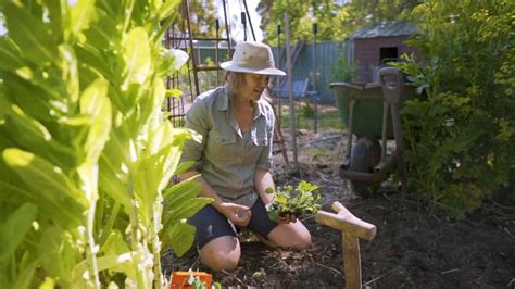 Gardening Australia episode 6 2020 — HDclump — Gardeners World 2020