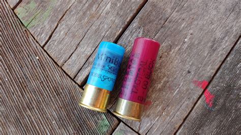 Mini Shotgun Shells Part 2, 2.25-Inch Round Electric Boogaloo - The ...