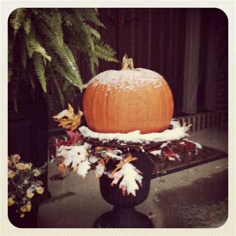 Frost on the pumpkin | Pumpkin carving, Pumpkin, Holiday