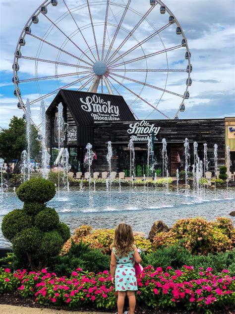 Things to do pigeon forge - boosavvy