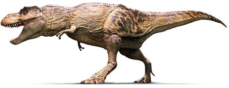 Tyrannosaurus | Tyrannosaurus Rex Facts | DK Find Out