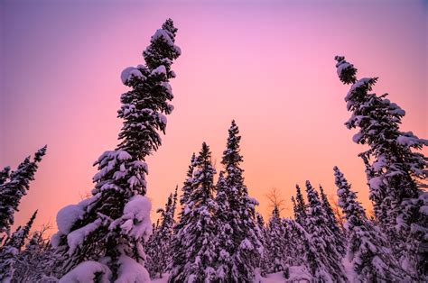 Underneath - New Year's Day Winter Sunset in Alaska