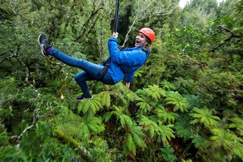 Rotorua: Guided Zipline Adventure Tour with Photos in Rotorua