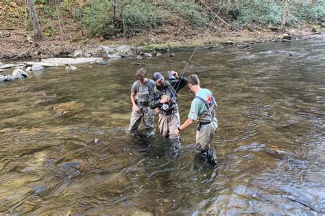 Nantahala River Full Day Fly Fishing NC - Whitewater Express