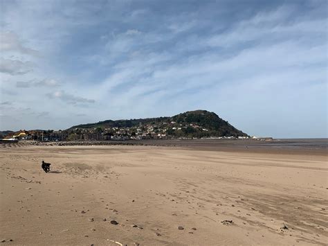 Minehead Beach - Bristol dog walk - Bristol Barkers