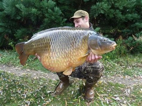 Krämer's Glory | Total Carp