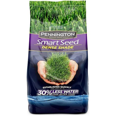 Best Grass Seed for Any Lawn | The Family Handyman