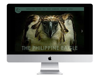 Philippine Eagle Projects :: Photos, videos, logos, illustrations and branding :: Behance