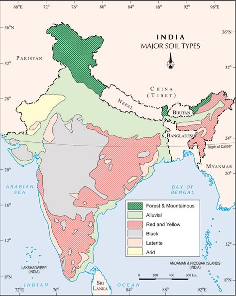 World Soil Day | Types of soil, Geography, India map