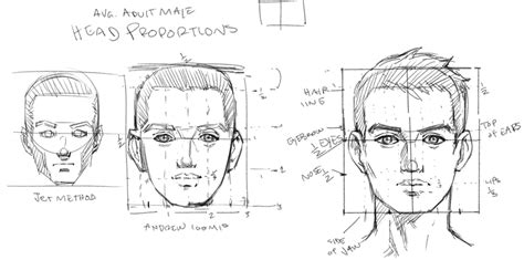 Head Proportions Male Front View by JetEffects on deviantART | Head proportions, Face ...